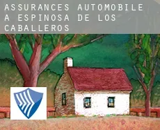 Assurances automobile à Espinosa de los Caballeros