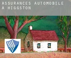 Assurances automobile à  Higgston
