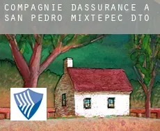 Compagnie d'assurance à  San Pedro Mixtepec -Dto. 22