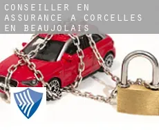 Conseiller en assurance à  Corcelles-en-Beaujolais