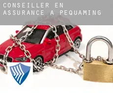 Conseiller en assurance à  Pequaming