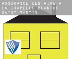 Assurance dentaire à  La Chapelle-Blanche-Saint-Martin