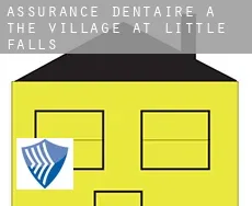 Assurance dentaire à The Village at Little Falls
