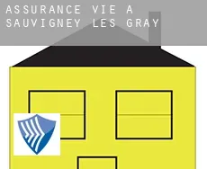 Assurance vie à Sauvigney-lès-Gray