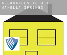 Assurances auto à  Wakulla Springs