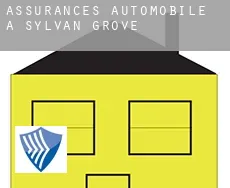 Assurances automobile à Sylvan Grove