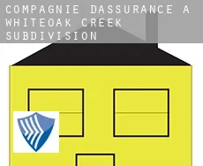 Compagnie d'assurance à  Whiteoak Creek Subdivision