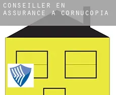 Conseiller en assurance à  Cornucopia