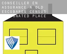 Conseiller en assurance à Old Escobares