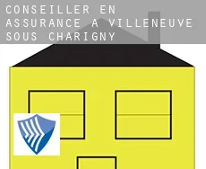 Conseiller en assurance à Villeneuve-sous-Charigny