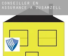 Conseiller en assurance à  Zusamzell