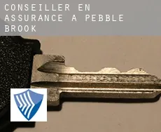 Conseiller en assurance à  Pebble Brook