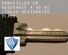 Conseiller en assurance à So-Hi