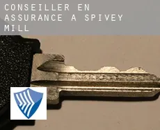 Conseiller en assurance à Spivey Mill