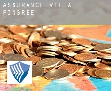 Assurance vie à  Pingree