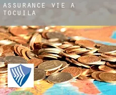 Assurance vie à  Tocuila