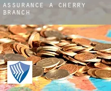 Assurance à  Cherry Branch
