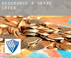 Assurance à  Grape Creek