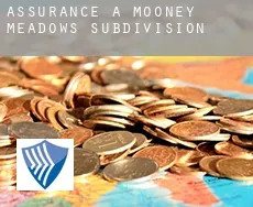 Assurance à  Mooney Meadows Subdivision