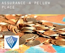 Assurance à  Pellow Place