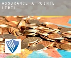 Assurance à  Pointe-Lebel