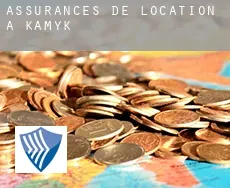 Assurances de location à Kamyk