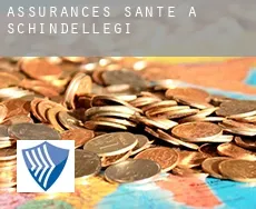 Assurances santé à  Schindellegi