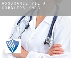 Assurance vie à  Cobblers Knob