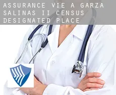 Assurance vie à Garza-Salinas II