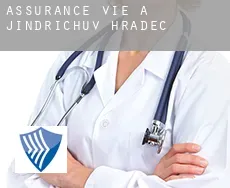 Assurance vie à  Jindřichův Hradec