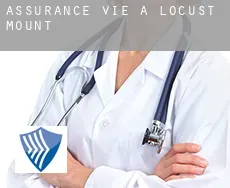 Assurance vie à  Locust Mount