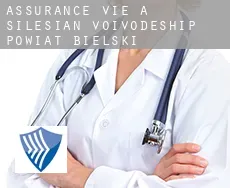 Assurance vie à Powiat bielski (Silesian Voivodeship)