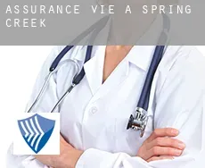 Assurance vie à  Spring Creek
