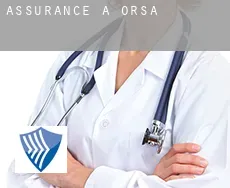 Assurance à Orsa