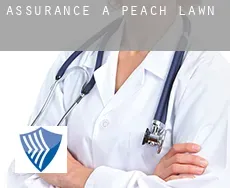 Assurance à  Peach Lawn
