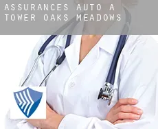 Assurances auto à  Tower Oaks Meadows