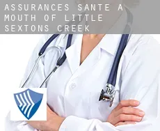 Assurances santé à  Mouth of Little Sextons Creek