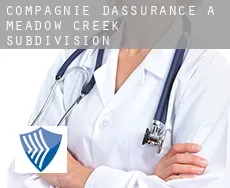 Compagnie d'assurance à  Meadow Creek Subdivision