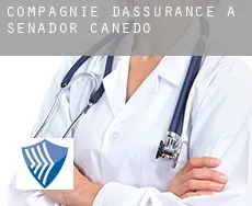 Compagnie d'assurance à  Senador Canedo