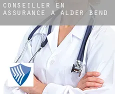 Conseiller en assurance à Alder Bend
