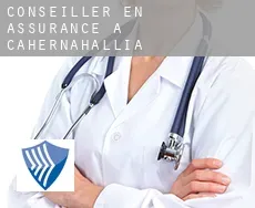 Conseiller en assurance à  Cahernahallia