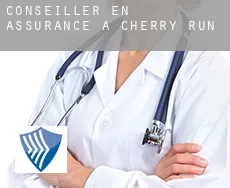 Conseiller en assurance à  Cherry Run