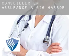 Conseiller en assurance à Gig Harbor
