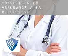 Conseiller en assurance à La Belletière