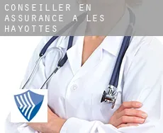Conseiller en assurance à Les Hayottes