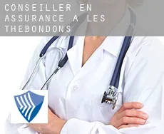 Conseiller en assurance à Les Thébondons