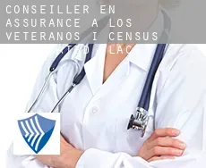 Conseiller en assurance à  Los Veteranos I