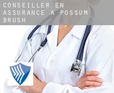 Conseiller en assurance à  Possum Brush