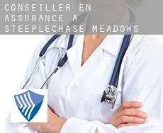 Conseiller en assurance à  Steeplechase Meadows