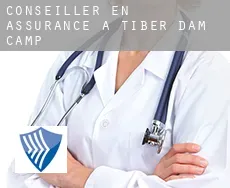 Conseiller en assurance à Tiber Dam Camp